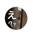 ノアさんの日常①（個別スタンプ：10）