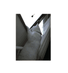 外国人とも話せるよ（個別スタンプ：16）