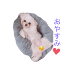ちゃんまるの日常（個別スタンプ：4）