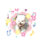 ももです❣️No2（個別スタンプ：3）