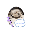ももです❣️No2（個別スタンプ：10）