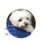 ももです❣️No2（個別スタンプ：12）