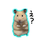 つくね（キンクマハムスター）（個別スタンプ：4）