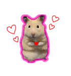 つくね（キンクマハムスター）（個別スタンプ：16）