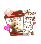 使える！トイプー♡あんず♡の挨拶スタンプ（個別スタンプ：21）