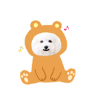 トイプードルの にこちゃん 2（個別スタンプ：13）