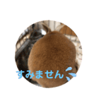日常version Koo＆Moka（個別スタンプ：3）