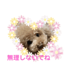 日常version Koo＆Moka（個別スタンプ：8）