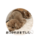 日常version Koo＆Moka（個別スタンプ：10）