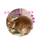 日常version Koo＆Moka（個別スタンプ：14）