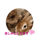 日常version Koo＆Moka（個別スタンプ：15）