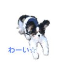 アロンジェ2（個別スタンプ：2）