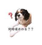 アロンジェ2（個別スタンプ：9）