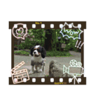 アロンジェ2（個別スタンプ：12）