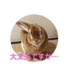 挨拶version Moka＆koo①（個別スタンプ：1）