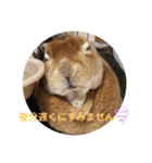 挨拶version Moka＆koo①（個別スタンプ：4）