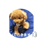 挨拶version Moka＆koo①（個別スタンプ：7）