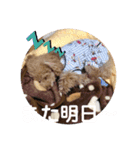 挨拶version Moka＆koo①（個別スタンプ：8）
