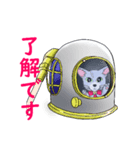 ロシアンブルーのアネラちゃん（個別スタンプ：8）