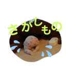 のどかのスタンプ✨4（個別スタンプ：4）