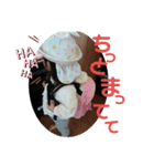 のどかのスタンプ✨4（個別スタンプ：5）