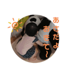 のどかのスタンプ✨4（個別スタンプ：16）