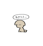 顔面集中ちゃん（個別スタンプ：11）