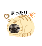 パグ＆ねこず  お家で過ごそう…（個別スタンプ：9）