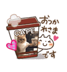 チワワand猫（個別スタンプ：27）