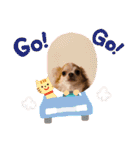 チワワand猫（個別スタンプ：28）