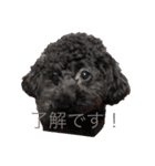 メイ ライリー（個別スタンプ：1）