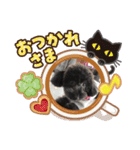 メイ ライリー（個別スタンプ：8）