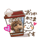 メイ ライリー（個別スタンプ：9）
