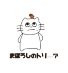 スケボーにのったねこ げたまるキャンプ編（個別スタンプ：9）