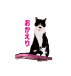 チョビ 最強スタンプ（個別スタンプ：8）