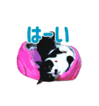チョビ 最強スタンプ（個別スタンプ：15）