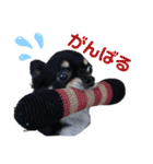 ケンタさん（個別スタンプ：4）