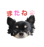 ケンタさん（個別スタンプ：5）