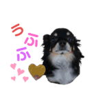 ケンタさん（個別スタンプ：7）