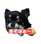 ケンタさん（個別スタンプ：15）