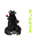 ミニシュナ★メイのスタンプ6見やすい編（個別スタンプ：17）