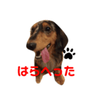 ふぁなくん（個別スタンプ：3）