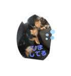 ふぁなくん（個別スタンプ：8）