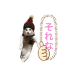 まいにち、ししゃも（個別スタンプ：6）