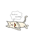 人生のネコ（個別スタンプ：2）