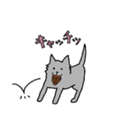 甲斐犬スタンプ やくも保育園（個別スタンプ：3）