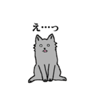 甲斐犬スタンプ やくも保育園（個別スタンプ：12）