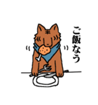 甲斐犬スタンプ やくも保育園（個別スタンプ：31）