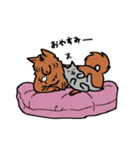 甲斐犬スタンプ やくも保育園（個別スタンプ：34）