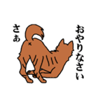 甲斐犬スタンプ やくも保育園（個別スタンプ：38）